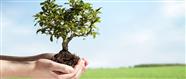 Supporting your business growth