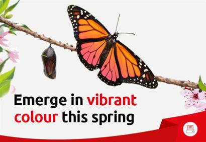 Spring into summer with vibrant colour print!